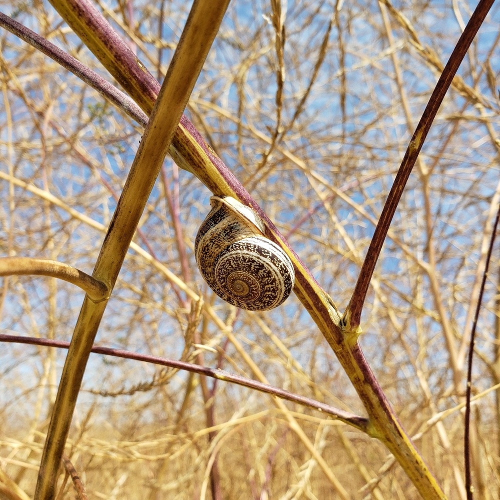 Meet your Posher, Hk